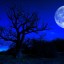 La vera storia di Blue Moon